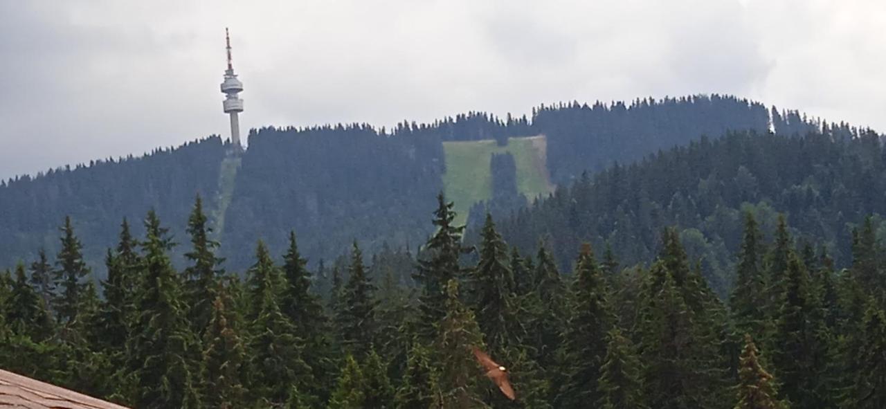 Спа,Ски Апартамент Дайли, Стрийм Ризорт Пампорово Esterno foto